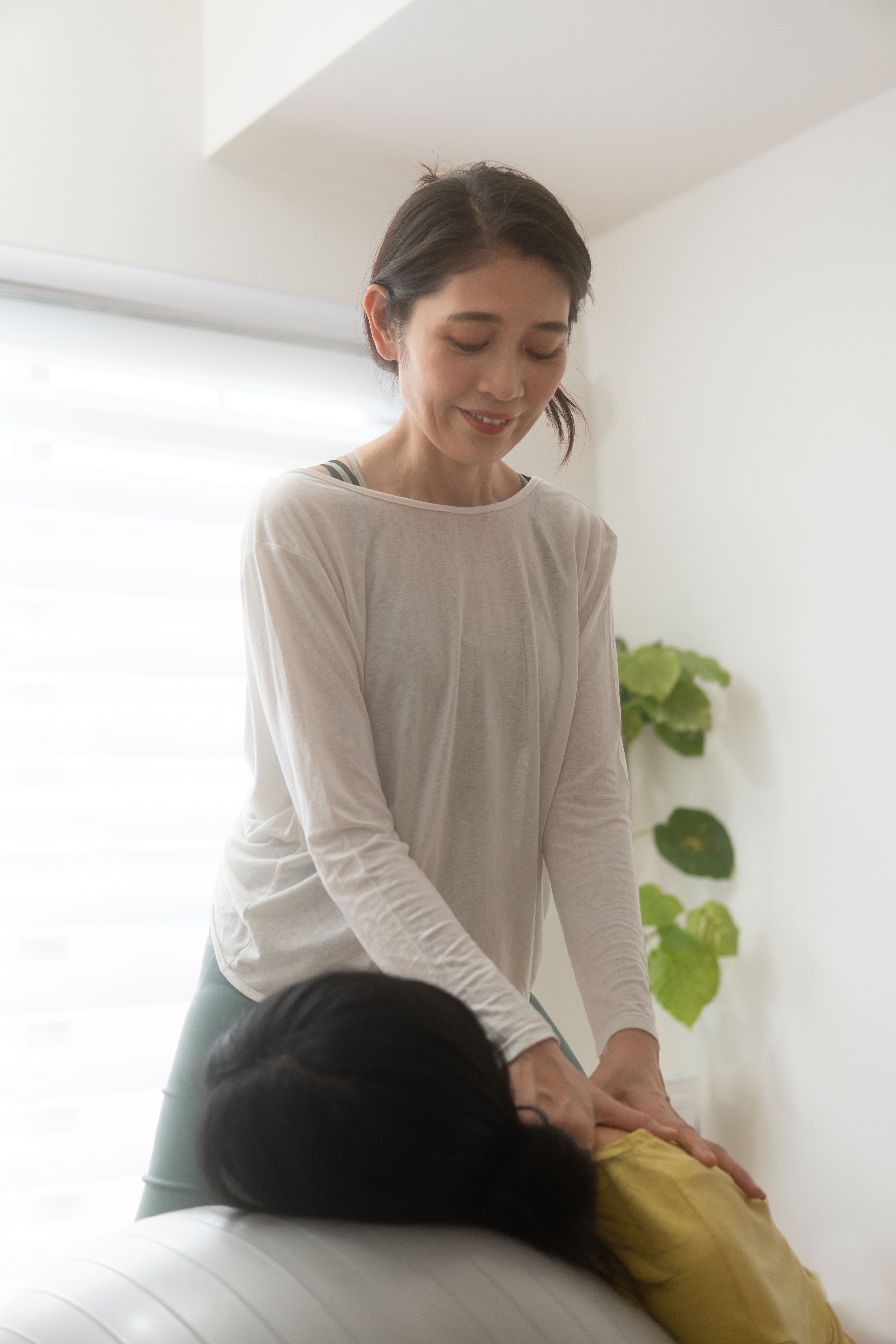 の画像